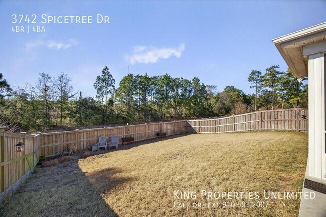 Building Photo - 3742 Spicetree Dr