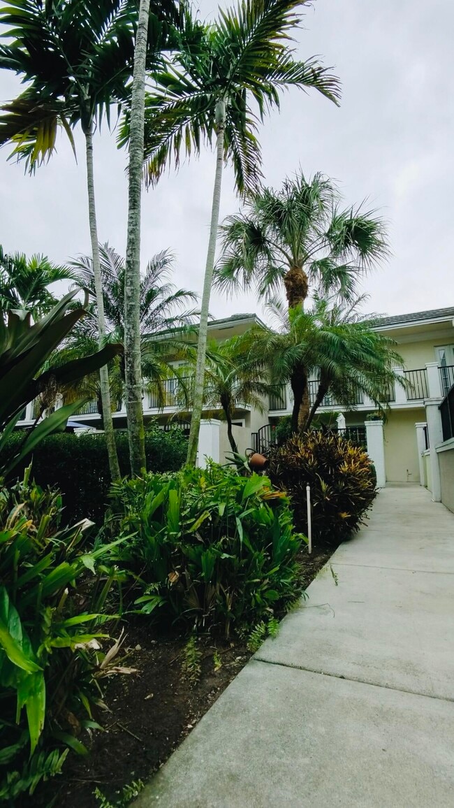 Building Photo - 1000 Palm Trail