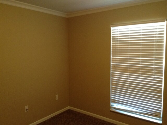 Building Photo - 1120 Wild Flower Ln