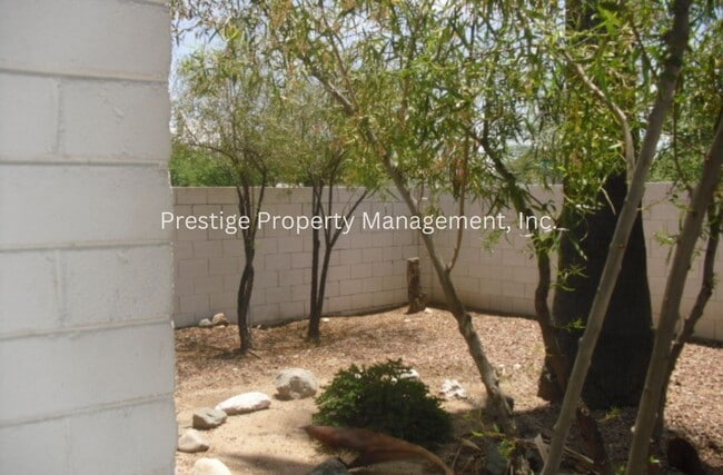 Building Photo - Tucson's Hidden Treasure!!