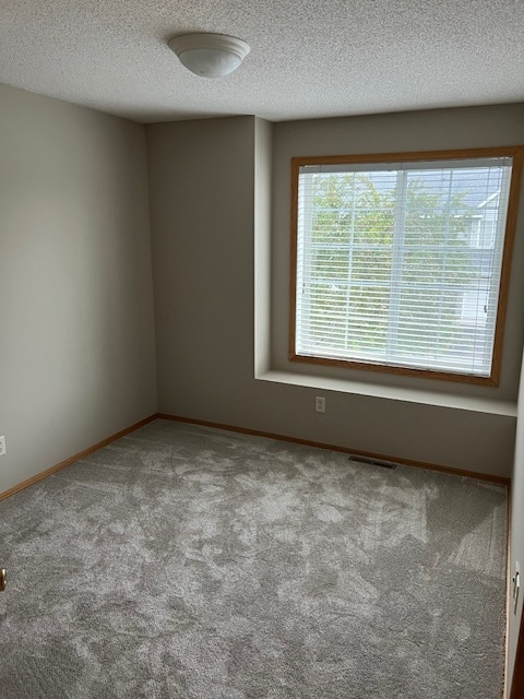 3rd Bedroom - 11027 Douglas Ln N