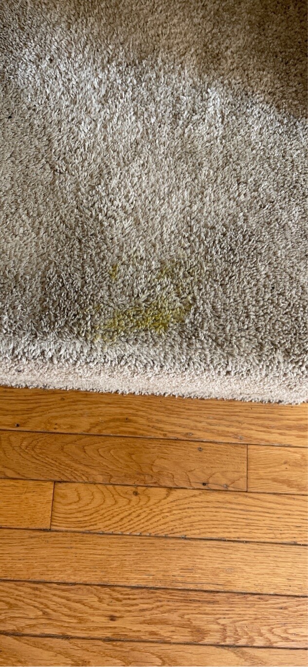 Building Photo - 229 Red Jade Dr