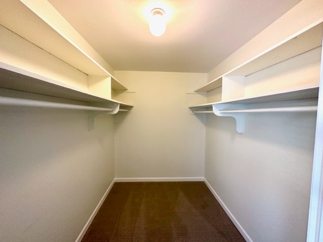 2nd bedroom walk-in closet - 25 Ivy Sq NE