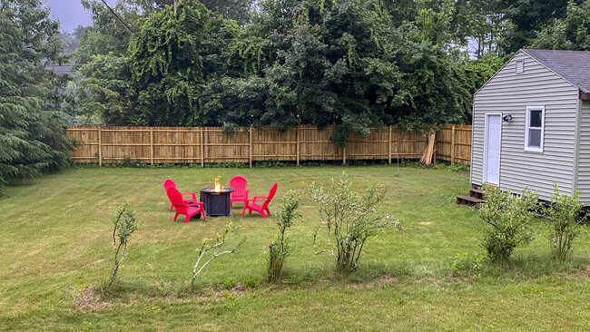 backyard lawn. Yep, those are blueberry bushes - 10 Newark St