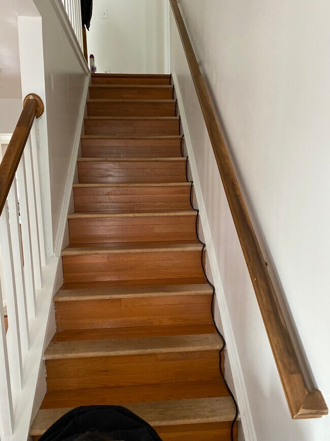 Building Photo - 65 Chestnut Dr