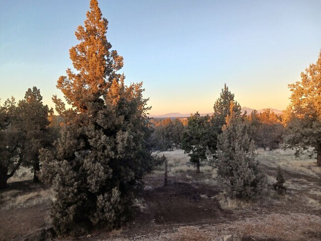 Building Photo - Beautiful Unique 4 Bedroom home with a loft & 3 full bathrooms! Move In Special $500 off first mo...