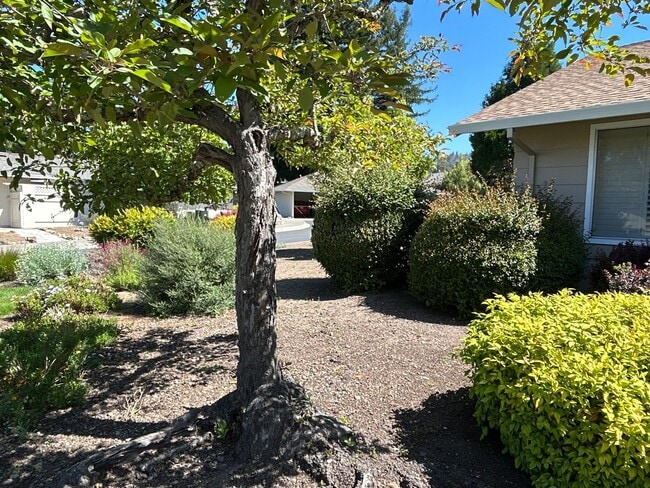 Building Photo - 6589 Meadowridge Dr
