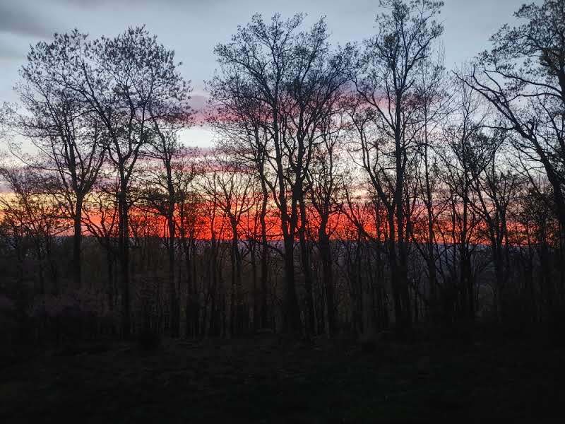 Building Photo - 708 Wilderness Rd