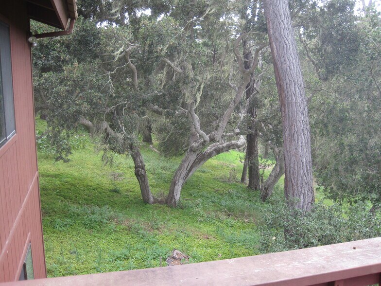 Building Photo - 24656 Pescadero Rd