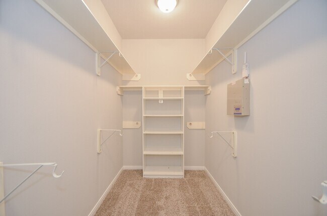 Building Photo - 4907 Trailing Clover Ct