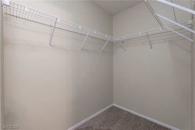Building Photo - 944 Saffex Rose Ave