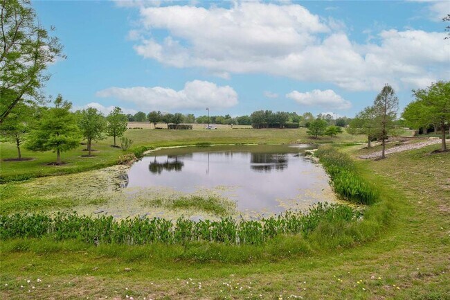 Building Photo - 701 Texas Sage Loop