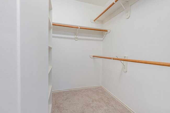 Building Photo - 209 Summerhaze Cir