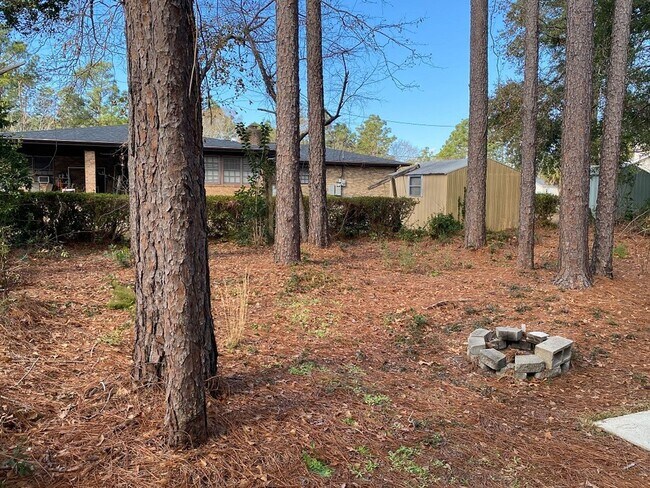 Building Photo - Student Friendly Home 208 Hillsdale Drive