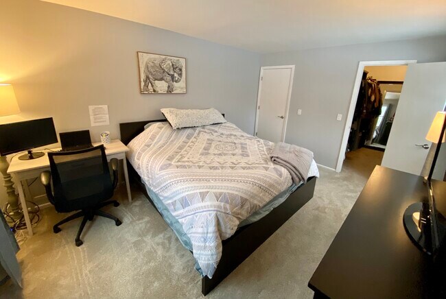 Master Bedroom - 2405 Mallow Ct