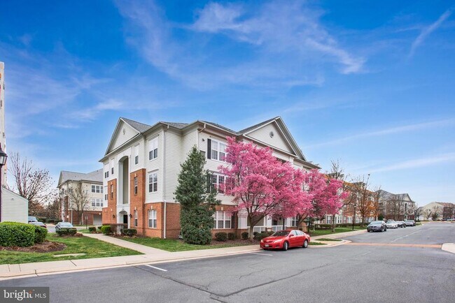 Building Photo - 42480 Rockrose Square