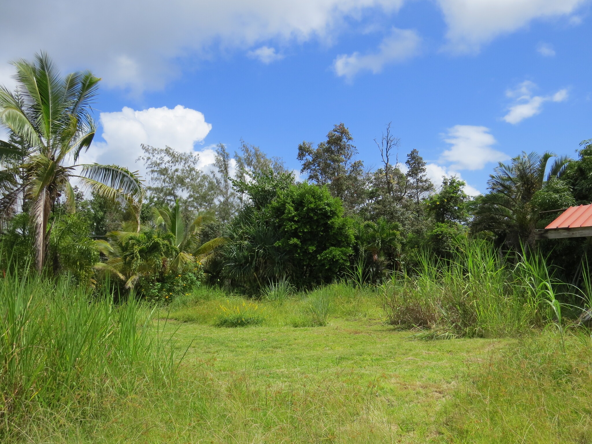 Building Photo - 15-1414 24th Ave