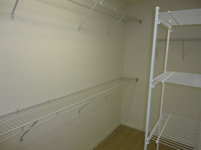 Building Photo - 13719 Phoenix Dr