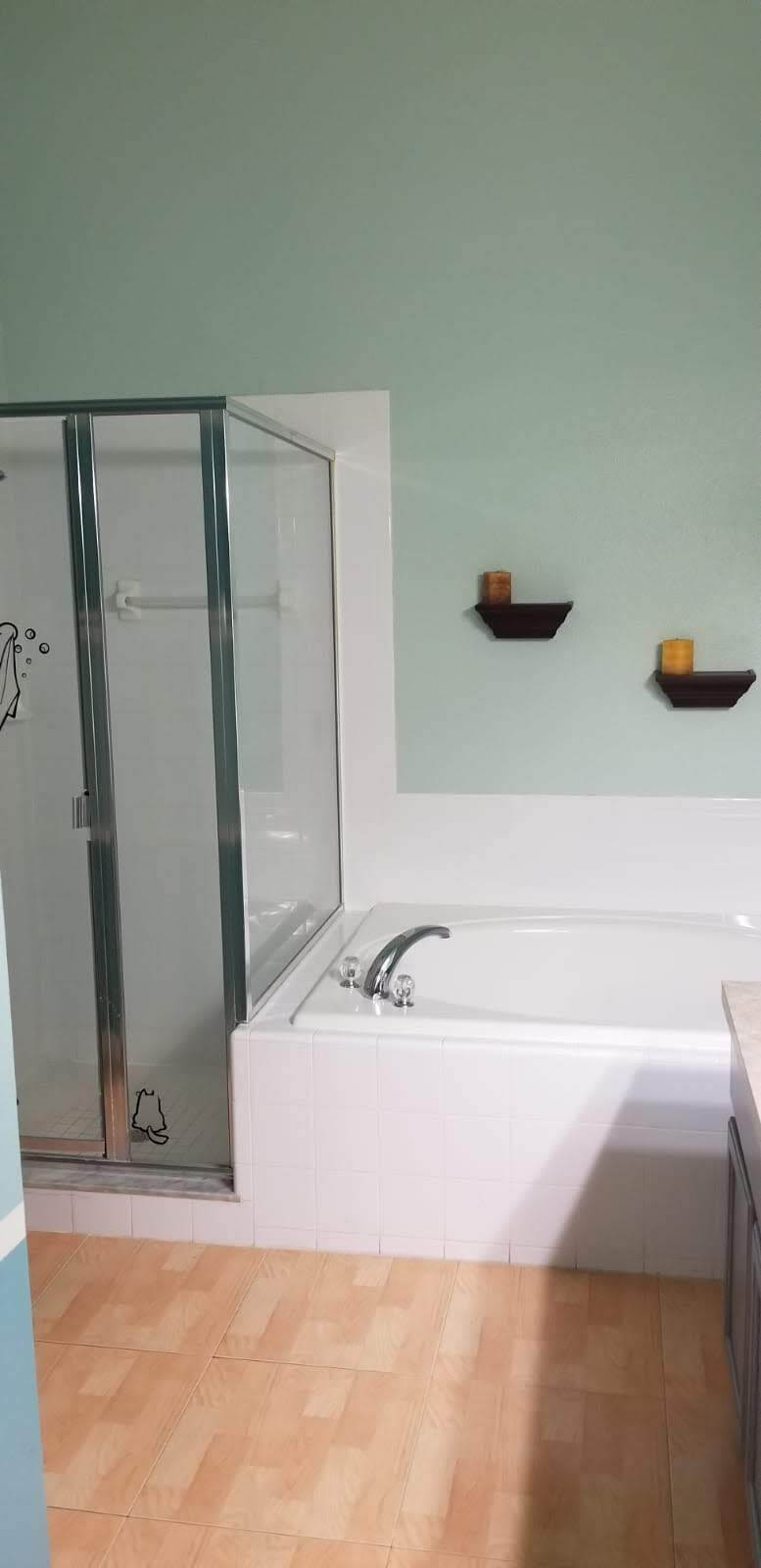 Tub and shower - 202 Bramley Ct