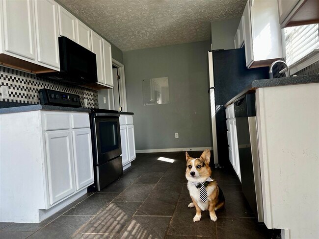 Building Photo - 342 Turkey Run Dr