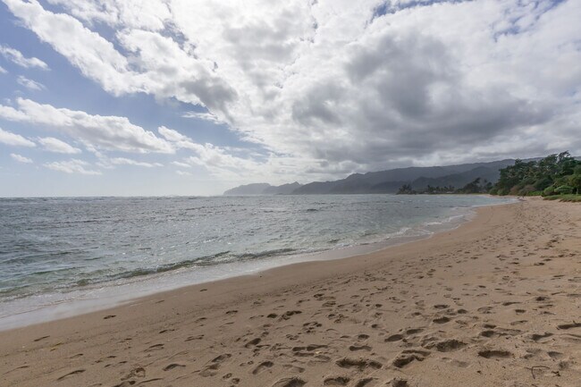 Building Photo - 55-116-116 Naupaka St