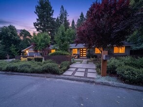 Building Photo - Gorgeous 4 Bedroom PLUS Spacious Bonus Room with Pool in Desired Alamo Neighborhood Available Now!