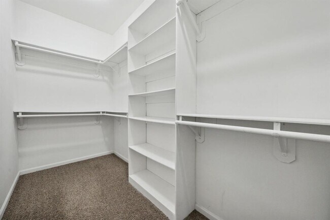 Building Photo - 3202 Breezy Pines Ct