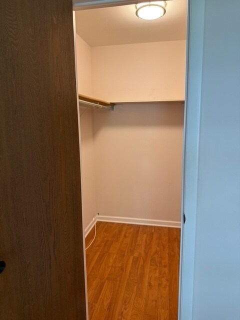 Building Photo - 610 Stone Cir Ct