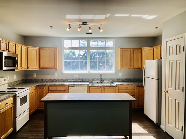 open kitchen - 2729 Gallows Rd