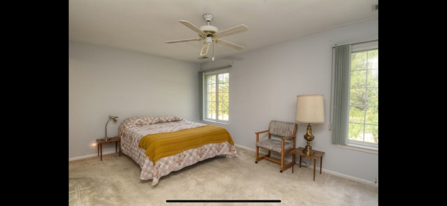 Primary Bedroom - 401 Cromwell Cir