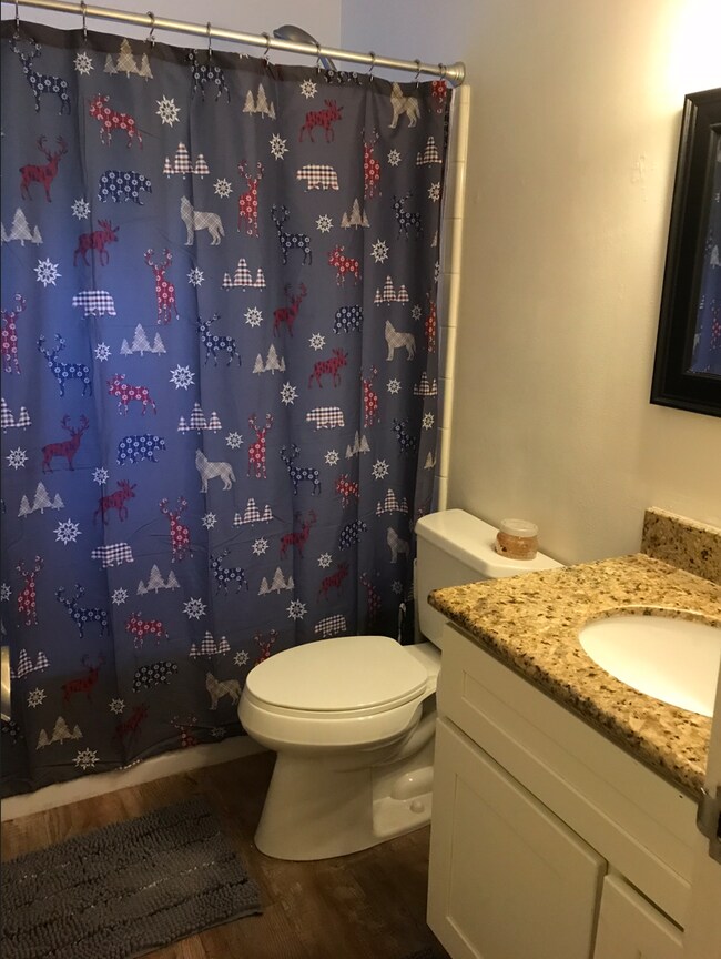 upstairs bathroom with shower and tub combo - 1410 Ski Run Blvd