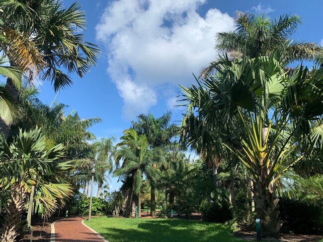 Balcony View - 1100 N Shore Dr NE