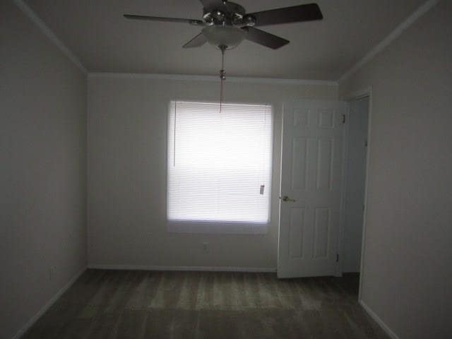Building Photo - 10207 Elderberry Park Ln