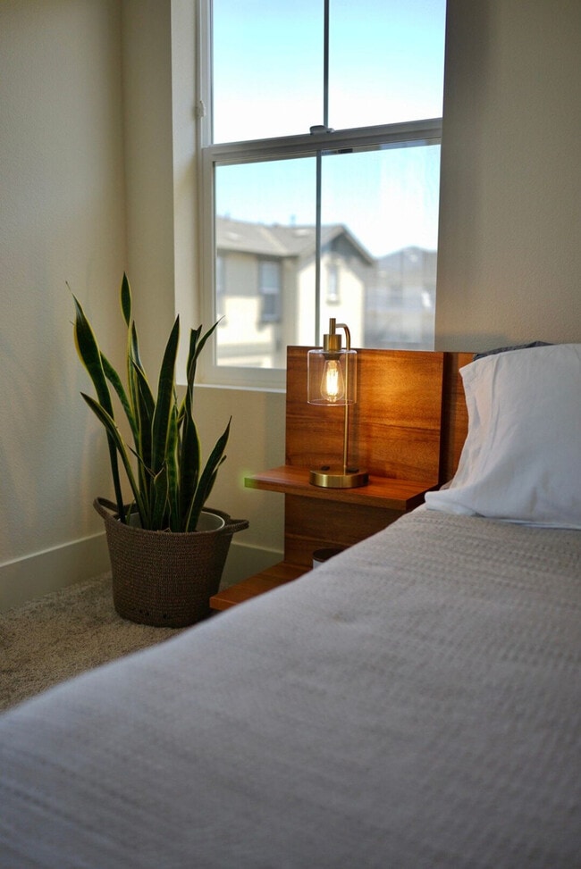 Building Photo - 37654 Cape Cod Rd