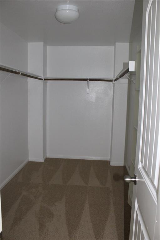 Building Photo - 1409 Bess Cove
