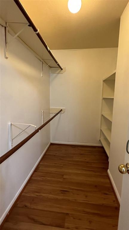Building Photo - 14214 Dreamscape Cir