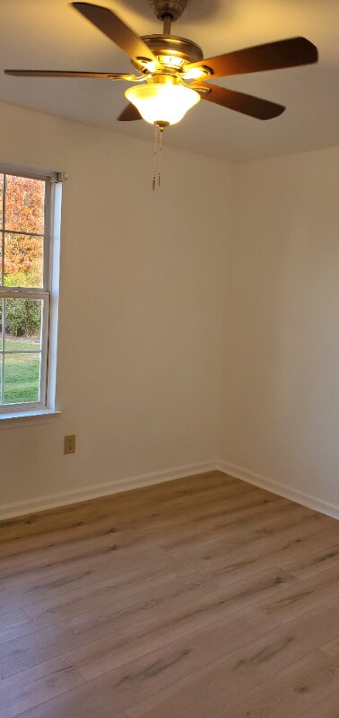 Building Photo - 1181 Cobblestone Cir