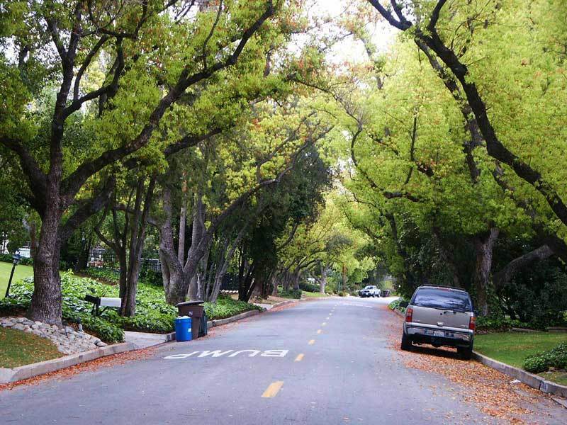 South Pasadena -Street - 809 Brent Ave
