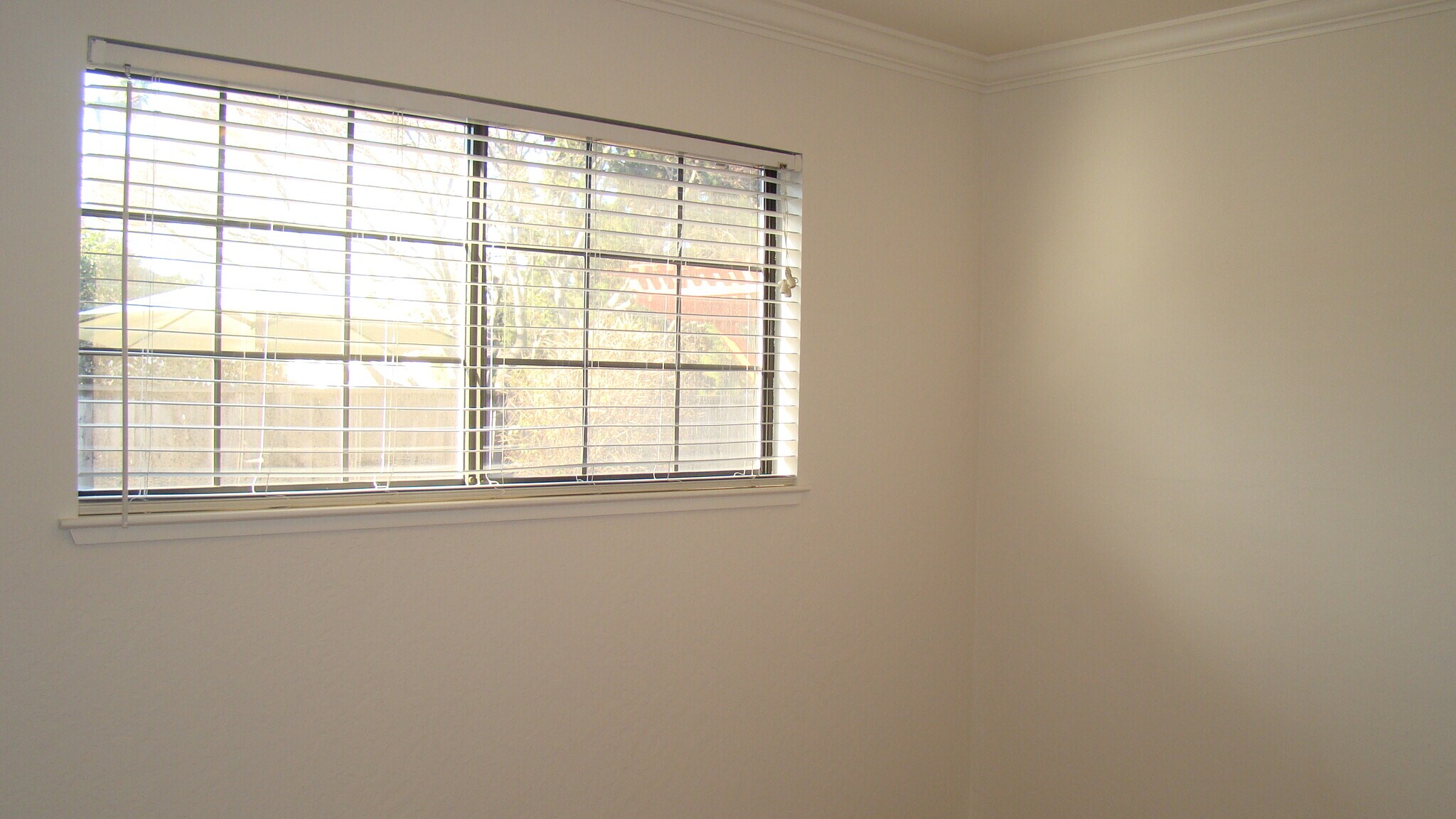 Building Photo - 5119 Silver Reef Dr