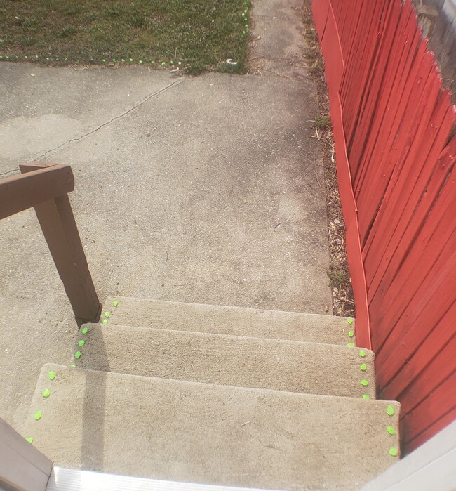 Stairs going down to Patio in Backyard - 1322 3rd St