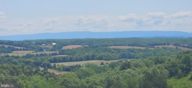 Building Photo - 225 Brandy Ct