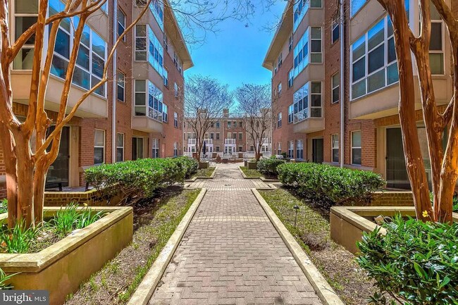 courtyard features gas fire pit, ample seating, and grills for your use - 23 Pierside Dr