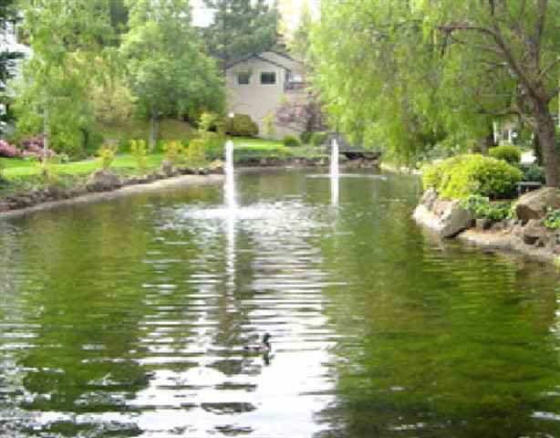 Building Photo - 419 Camelback Rd