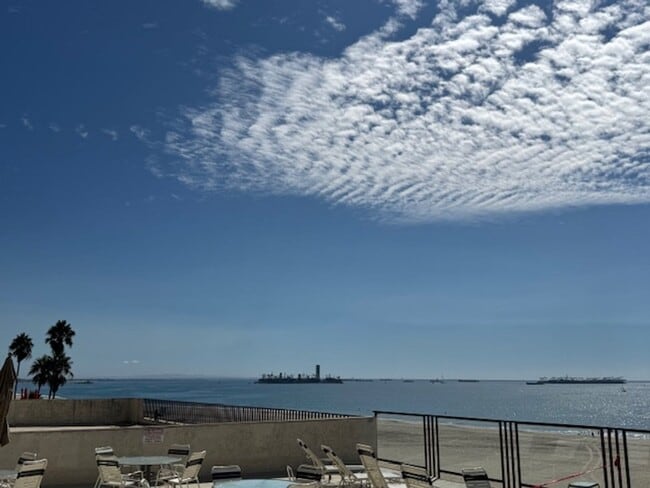 Building Photo - Steps from Alamitos Beach! Modern 1 bed 1 ...