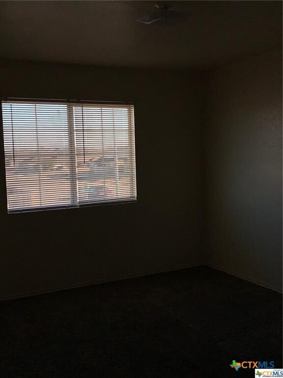 Building Photo - 2712 Vernice Loop