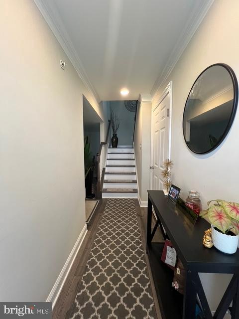 Building Photo - 221 Cadence Ct