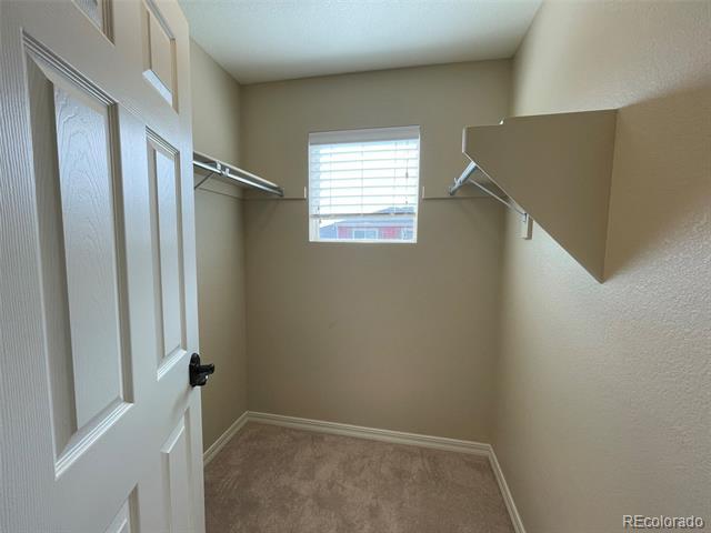 Building Photo - 12206 Stone Timber Ct