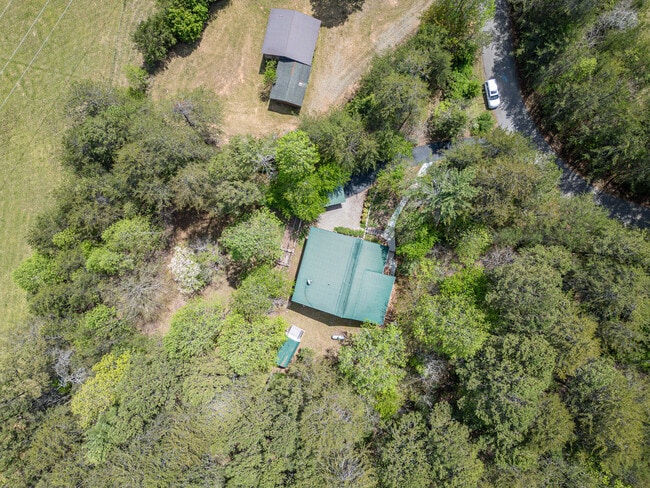 Building Photo - 292 Holly Cove Cir