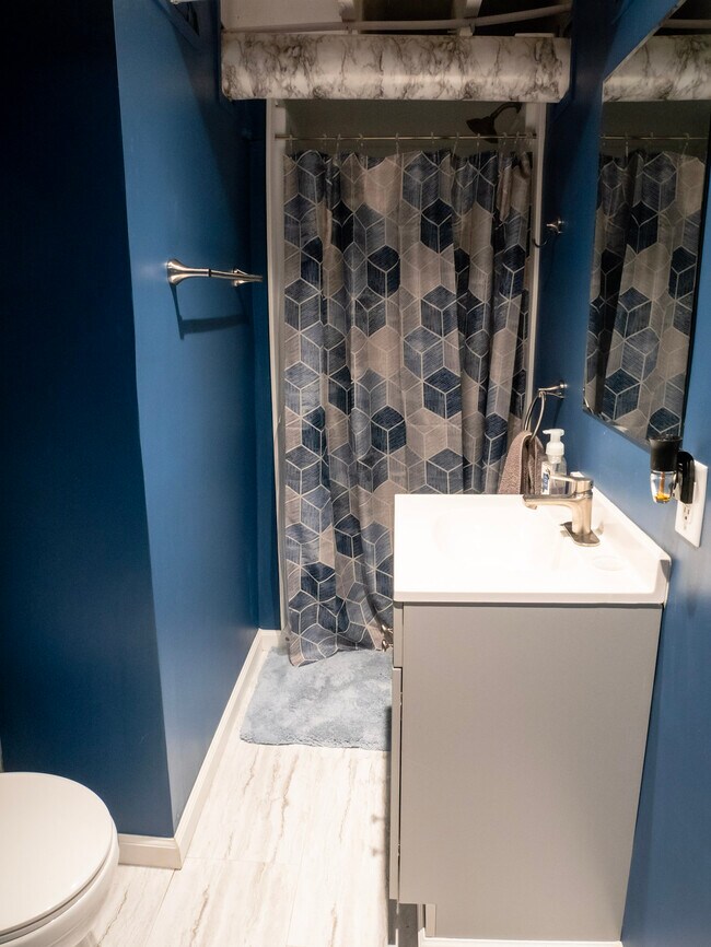 Downstairs Bathroom - 1611 Prather Ave
