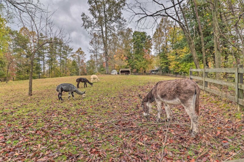 Building Photo - 23 Blackjack Rd